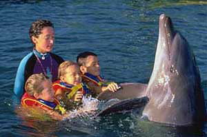 Dolphin Kids