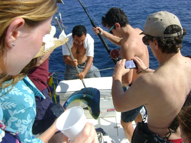  PRIVATE SAILING  CHARTER PUERTO VALLARTA